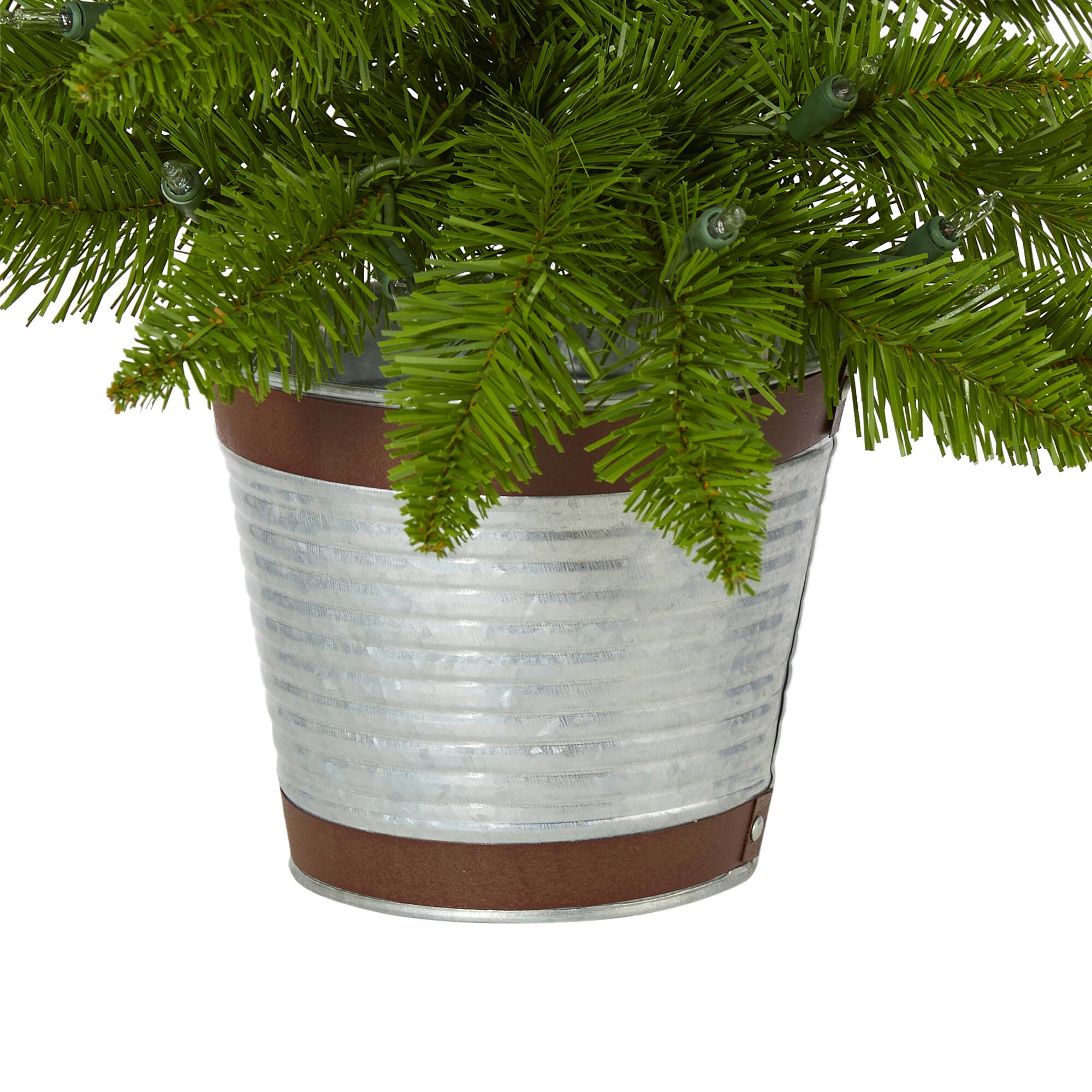 2ft. Pre-Lit Providence Pine Artificial Christmas Tree, Warm White Lights